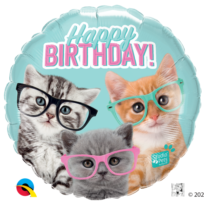 18" Birthday Kittens In Glasses