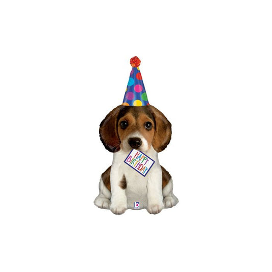 41" Birthday Party Pup
