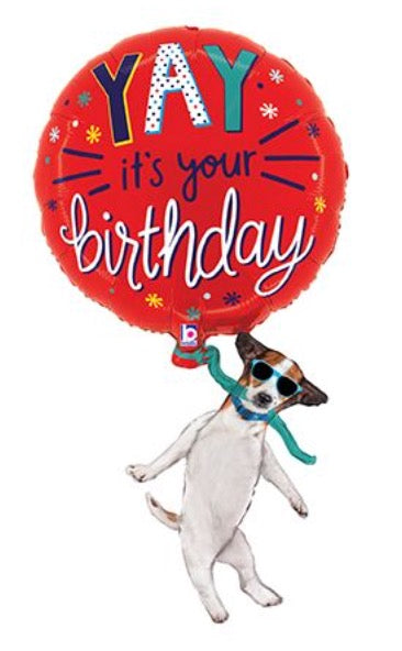 38" YAY Cool Birthday Dog